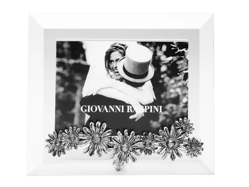 FRAME LUCE DAISIES PHOTO 10 x 7 GIOVANNI RASPINI 2270